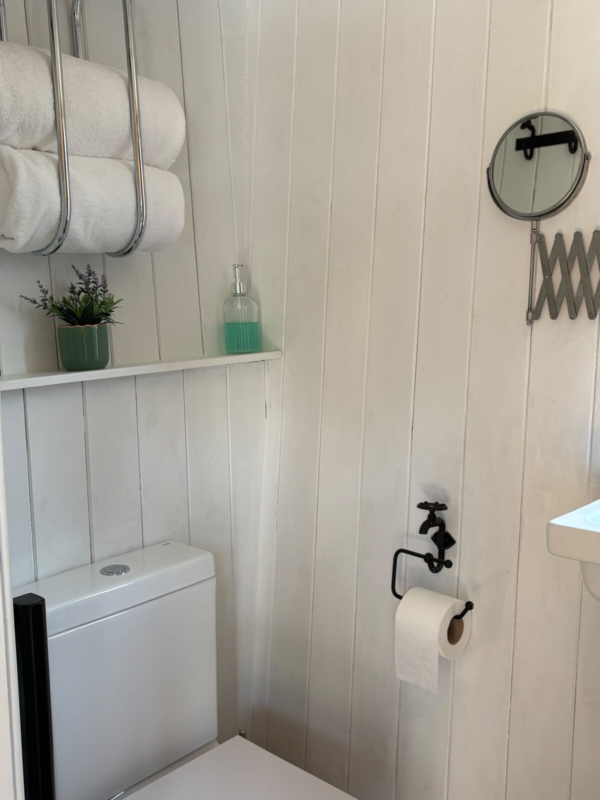 En-suite shower room with basin and toilet inside the shepherd's hut